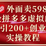外面卖5980开设拼多多虚拟店铺：单日引流200+创业付费粉实战教程