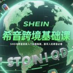 希音跨境基础课，SHEIN希音卖家入门实操指南，新手入坑希音必看