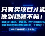 只有卖项目才能做到稳挣不赔，门槛低，更简单，你也可以年入百个W【揭秘】