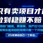 只有卖项目才能做到稳挣不赔，门槛低，更简单，你也可以年入百个W【揭秘】