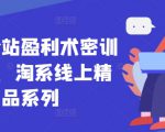 无界全站盈利术密训22.0，淘系线上精品系列