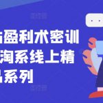 无界全站盈利术密训22.0，淘系线上精品系列