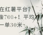 抄书在小红薯平台？平均一单30米，一天收益几张！