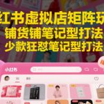 小红书虚拟店矩阵玩法，铺货铺笔记型打法，少款狂怼笔记型打法