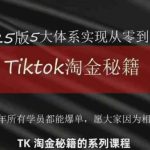 TikTok跨境2025淘金秘籍，​2025TikTok从0到盈利变现