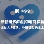 2025最新拼多多虚拟电商实操手册，单店日入3位数，小白也能快速上手【附赠选品工具】