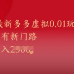2025最新多多虚拟0.01玩法！虚拟也有新世界，轻松日入1k+