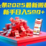 今日头条2025年最新搬砖玩法，新手也能轻松日入5张