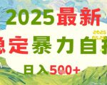 2025最新暴力自撸项目，日入5张+，可矩阵操作【揭秘】