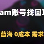 Steam账号找回项目，冷门蓝海，0成本，需求极大