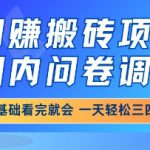 网创搬砖项目，国内问卷调查，小白轻松上手，一天三四张的也不难，干就完了【揭秘】