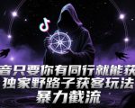 抖音只要你有同行就能获客，独家野路子获客玩法，暴力截流【揭秘】