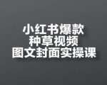 小红书爆款种草视频图文封面实操课，​开店、选品、引流、变现全流程