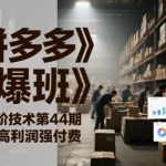 《拼多多打爆班》原创高阶技术第44期，拼多多高利润强付费