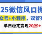 2025微信风口掘金，公众号+小程序双管齐下，单日稳定变现1k+【揭秘】