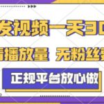 转发视频一天3张+，正规平台放心做，不看播放量，不看粉丝量，一个任务几分钟完成【揭秘】