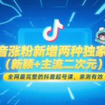 抖音涨粉新增两种独家玩法（新颖+主流二次元），全网最完整的抖音起号课，亲测有效