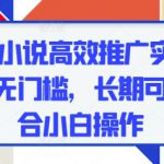 五月份小说高效推广实操，0成本，无门槛，长期可做，适合小白操作
