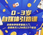 0-3岁自媒体引路课，自媒体挣钱零基础入门，自媒体月入2W的23个秘法