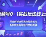 视频号0-1实战玩法线上课，深度剖析自然流和付费玩法，统性讲解视频号全部逻辑
