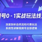 视频号0-1实战玩法线上课，深度剖析自然流和付费玩法，统性讲解视频号全部逻辑