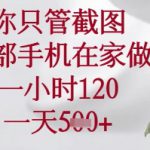 你只管截图，一部手机在家可以做，一小时120.一天5张+【揭秘】