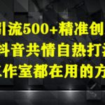 日引流500+精准创业粉，抖音共情自热打法，工作室都在用的方法