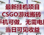 最新挂G项目，CSGO游戏搬砖，手机可做，无需电脑，当日见收益【揭秘】