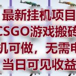 最新挂G项目，CSGO游戏搬砖，手机可做，无需电脑，当日见收益【揭秘】