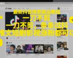 最新抖音搜索搬运教程，一刀不剪，条条过抖，推文短剧影视涨粉都可以