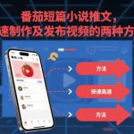 番茄短篇小说推文，快速制作及发布视频的两种方法