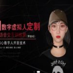 AI数字虚拟人定制，实时语音交互训练营（零基础），前沿核心数字人开发技术