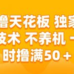 零撸天花板，独家满包技术 不养机 一小时撸满50+【揭秘】
