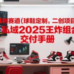 小众暴利赛道(球鞋定制，二创项目)实体+私域2025王炸组合  交付手册