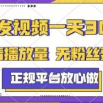 转发视频一天3张+，正规平台放心做，不看播放量，无粉丝要求，随时随地挣收益【揭秘】