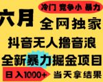 25年6月高爆抖音无人直播最新撸音浪掘金项目，小白可做，无脑日入1k+，门槛低可批量矩阵【揭秘】