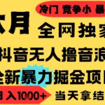 25年6月高爆抖音无人直播最新撸音浪掘金项目，小白可做，无脑日入1k+，门槛低可批量矩阵【揭秘】