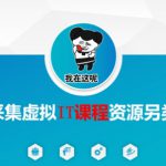 闲鱼采集虚拟IT课程资源另类玩法，干货满满