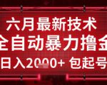 六月最新技术全自动暴力撸金，稳定日入2k+包起号，长期稳定【揭秘】