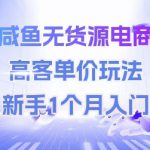 咸鱼无货源电商，高客单价玩法，新手1个月入门