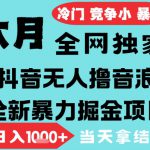 2025年6月高爆抖音无人直播最新撸音浪掘金项目，无脑日入1k+，低门槛小白可做，可矩阵放大【揭秘】