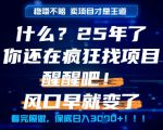 什么？25年你还在疯狂找项目做，醒醒吧，看完这些你全都懂了！【揭秘】