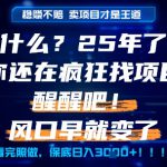 什么？25年你还在疯狂找项目做，醒醒吧，看完这些你全都懂了！【揭秘】