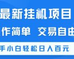 最新挂G项目，操作简单，交易自由，新手小白轻松日入100+【揭秘】