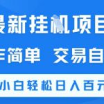 最新挂G项目，操作简单，交易自由，新手小白轻松日入100+【揭秘】