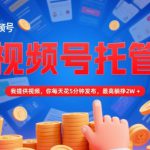【视频号托管 】我提供视频，你每天花5分钟发布，最高躺挣2W+【揭秘】