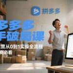 拼多多新手破局课，拼多多运营从0到1实操全流程，新手做电商必看