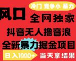 25年6月高爆抖音无人直播最新撸音浪掘金项目，解放双手小白可做，无脑日入1k+，门槛低【揭秘】