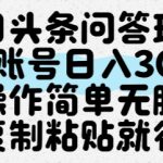 今日头条问答玩法，单账号日入30+，操作简单无脑复制粘贴就行