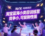 淘宝蓝海小类目训练营， 竞争小，可复制性强